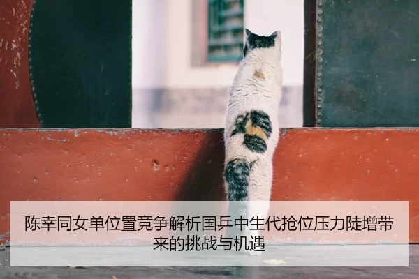 陈幸同女单位置竞争解析国乒中生代抢位压力陡增带来的挑战与机遇