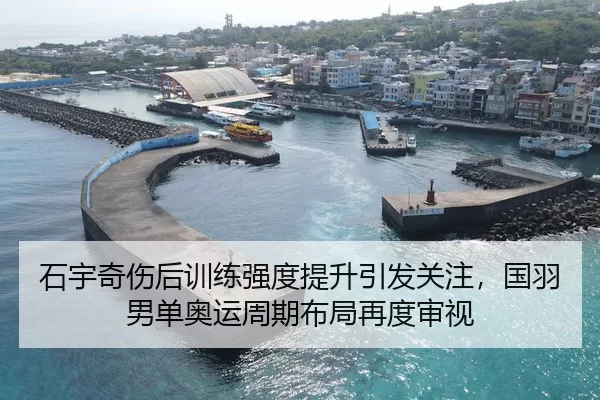 石宇奇伤后训练强度提升引发关注，国羽男单奥运周期布局再度审视 - pgdianzi